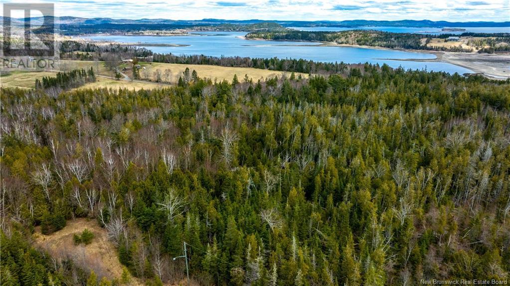 46a Crestwood Lane, Saint Andrews, New Brunswick E5B 2N7 - Photo 4 - NB116078