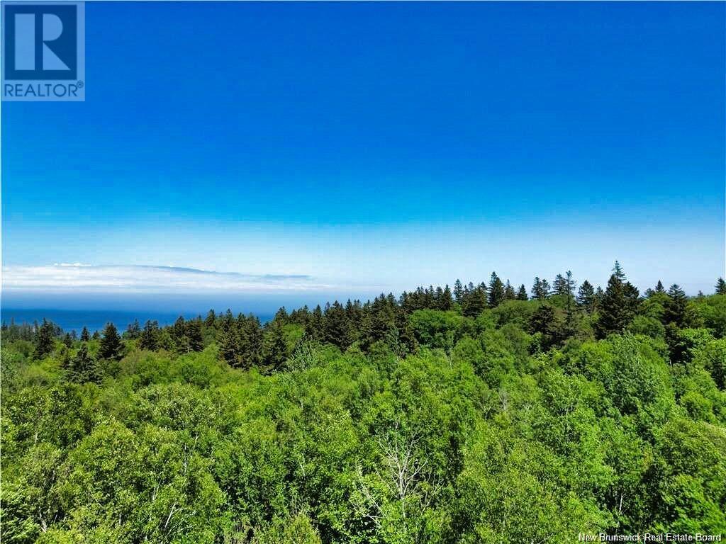 Lot 86-312 Fundy Drive, Wilsons Beach, New Brunswick  E5E 1X4 - Photo 5 - NB116126