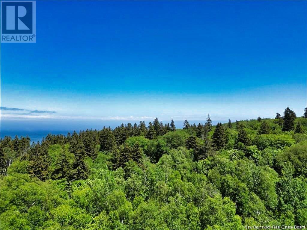 Lot 86-312 Fundy Drive, Wilsons Beach, New Brunswick  E5E 1X4 - Photo 6 - NB116126