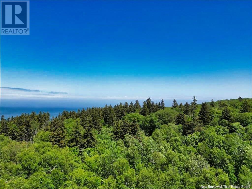 Lot 86-312 Fundy Drive, Wilsons Beach, New Brunswick  E5E 1X4 - Photo 7 - NB116126