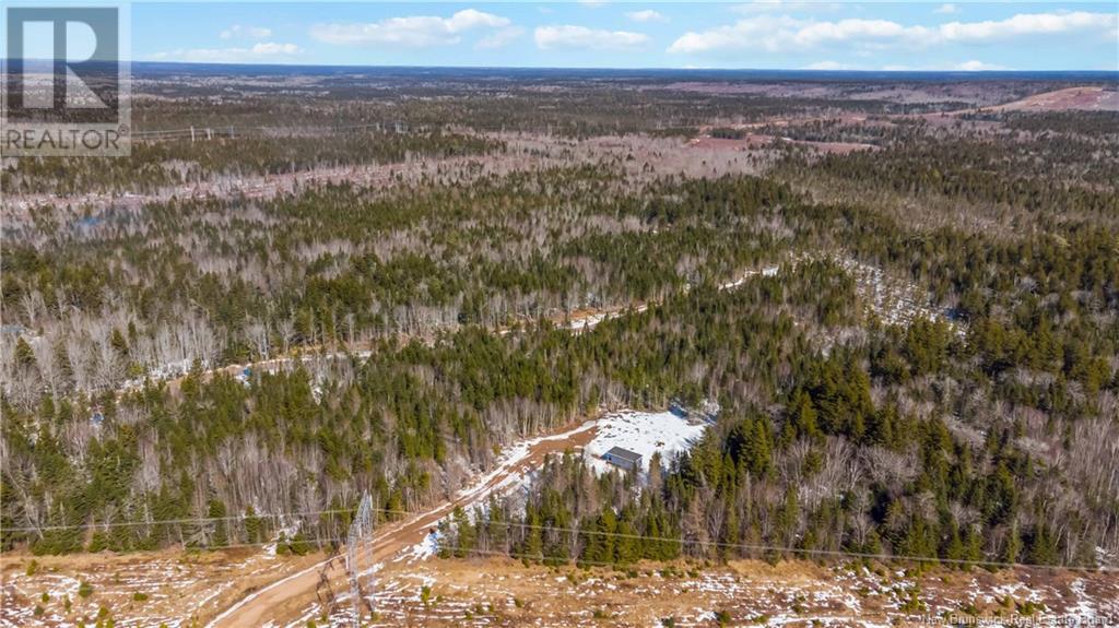 Lot Highway 2, Memramcook, New Brunswick E4K 1M3 - Photo 19 - NB116505