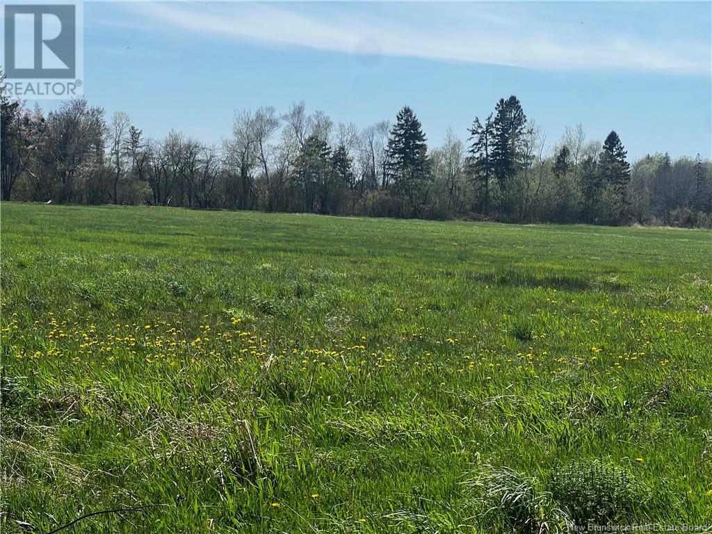 Old Mill Road, Shediac Cape, New Brunswick  E4P 3C4 - Photo 2 - NB116231