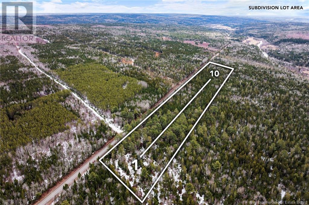 Lot 10 English Settlement Road, Taymouth, New Brunswick  O0O 0O0 - Photo 3 - NB116483