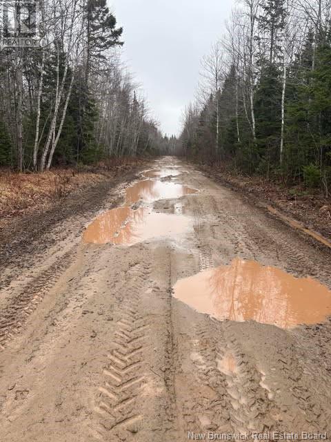 N/a Saint Damien Road, Saint-Paul, New Brunswick E4T 2G2 - Photo 3 - NB116575
