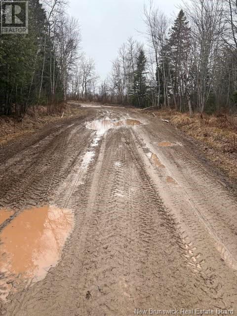 N/a Saint Damien Road, Saint-Paul, New Brunswick E4T 2G2 - Photo 4 - NB116575