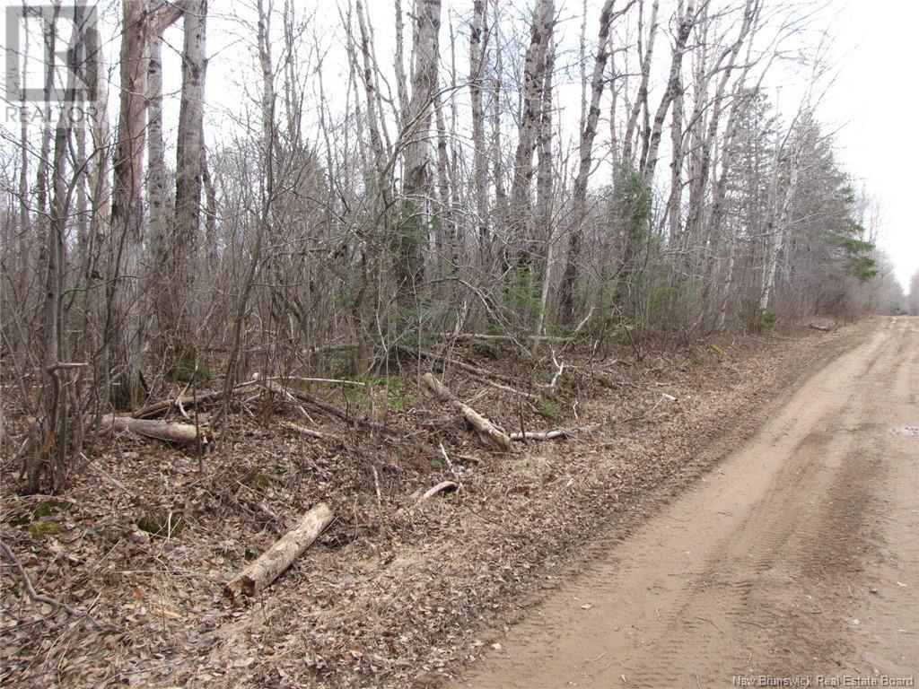 N/a Saint Damien Road, Saint-Paul, New Brunswick E4T 2G2 - Photo 5 - NB116575