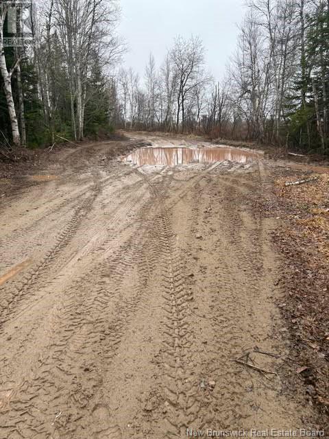 N/a Ch Pellerin Road, Saint-Paul, New Brunswick  E4T 2G2 - Photo 2 - NB116582