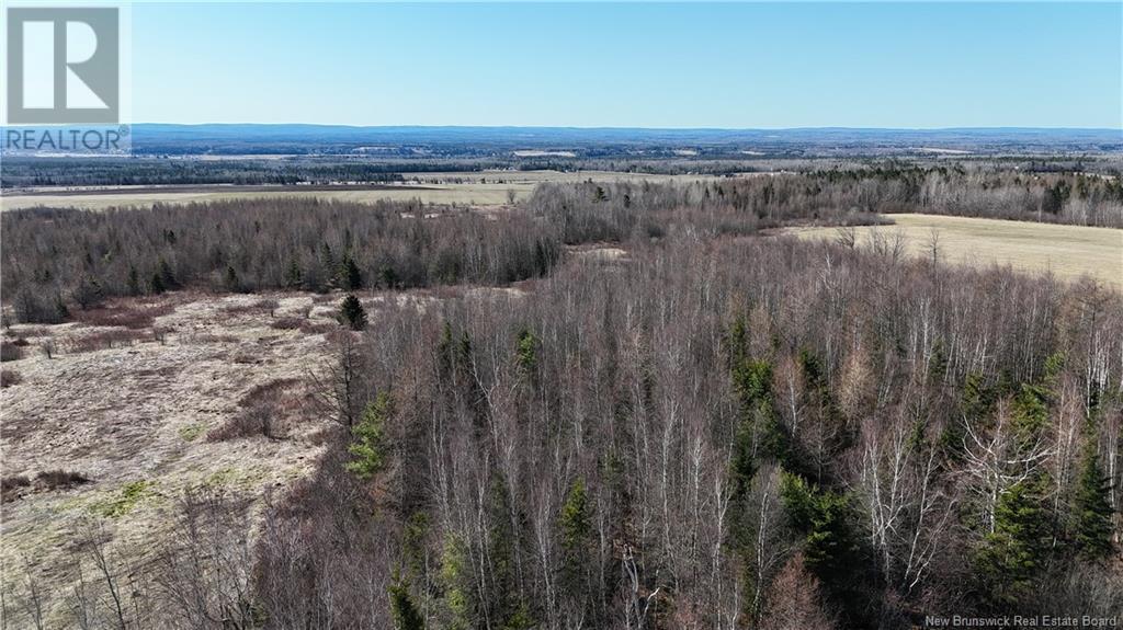 Lot Homestead Road, Steeves Mountain, New Brunswick  E1G 4J8 - Photo 4 - NB116730
