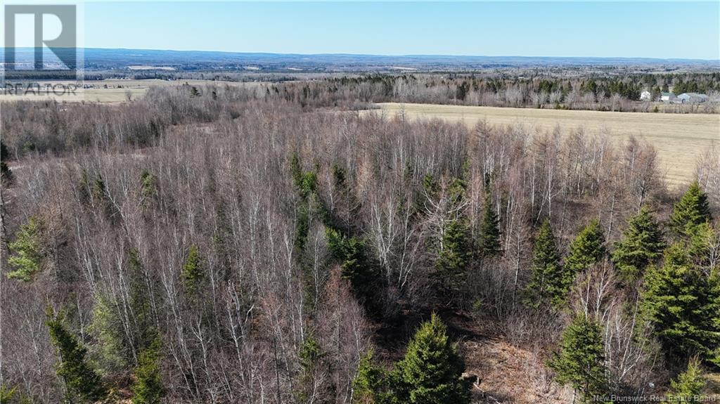 Lot Homestead Road, Steeves Mountain, New Brunswick  E1G 4J8 - Photo 5 - NB116730
