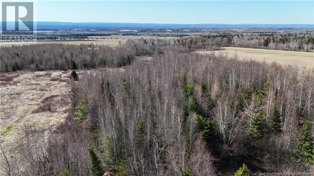 Lot Homestead Road, Steeves Mountain, New Brunswick  E1G 4J8 - Photo 6 - NB116730