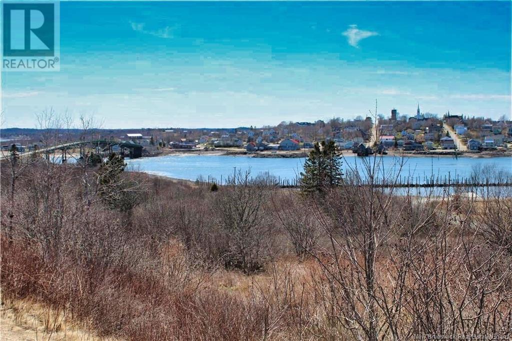 45 Narrows Road, Welshpool, New Brunswick E5E 1B2 - Photo 17 - NB115846