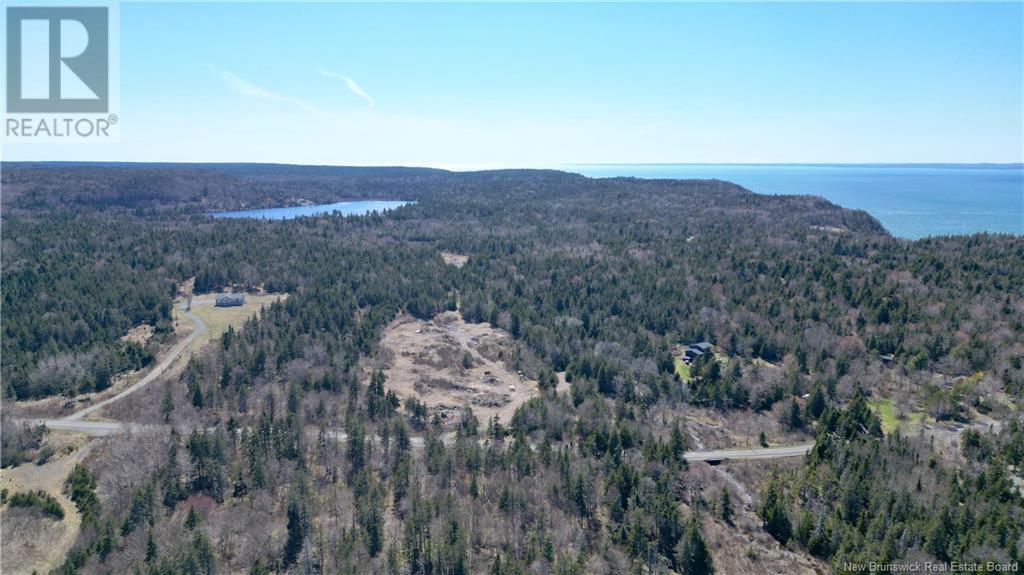 Whistle Road, Grand Manan, New Brunswick  E5G 1B8 - Photo 1 - NB116698