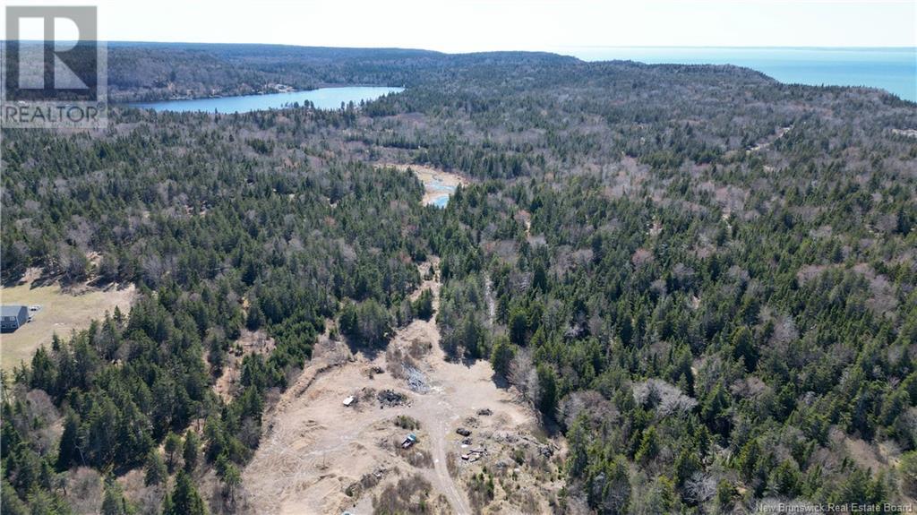 Whistle Road, Grand Manan, New Brunswick  E5G 1B8 - Photo 3 - NB116698