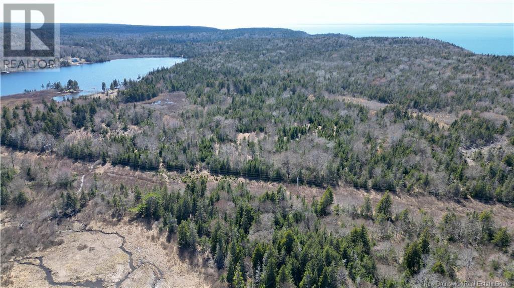 Whistle Road, Grand Manan, New Brunswick  E5G 1B8 - Photo 5 - NB116698