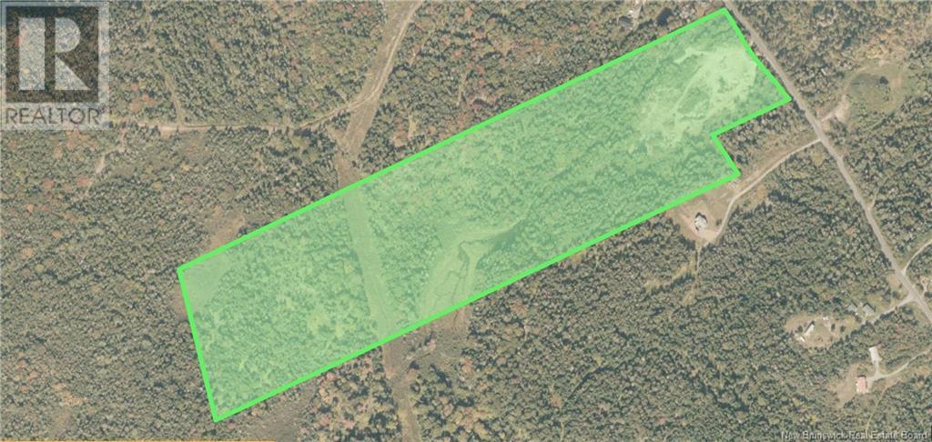 Whistle Road, Grand Manan, New Brunswick  E5G 1B8 - Photo 6 - NB116698