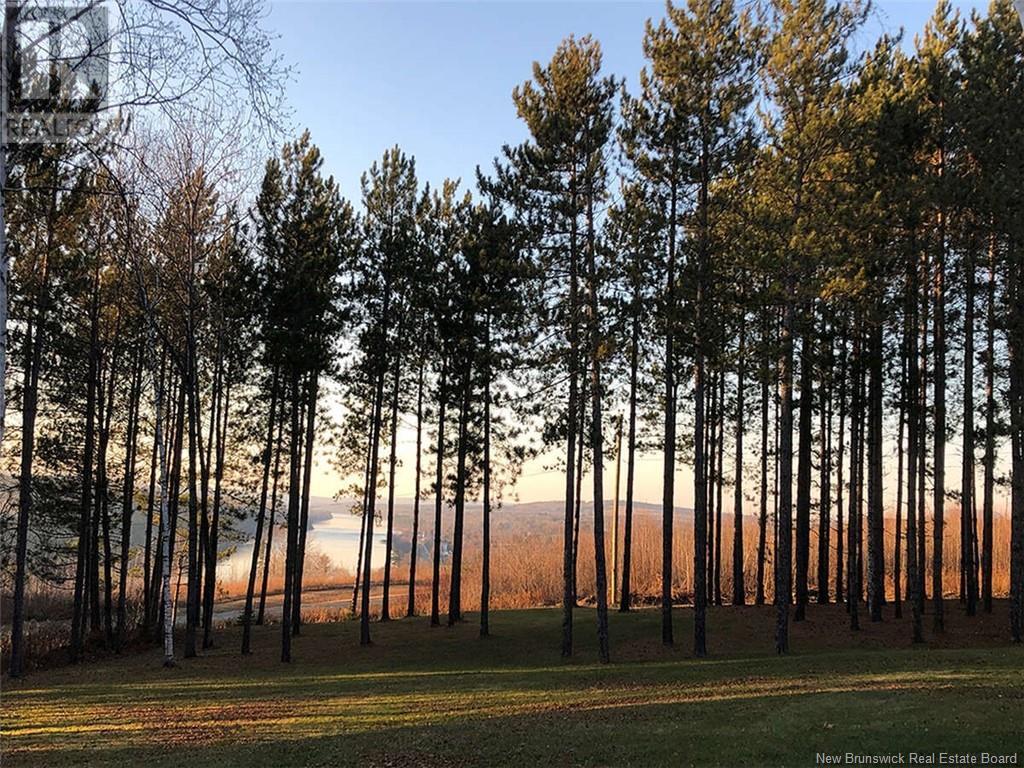 20 Left Branch Salmon Hill Road, Florenceville-Bristol, New Brunswick  E7L 2B6 - Photo 4 - NB116823