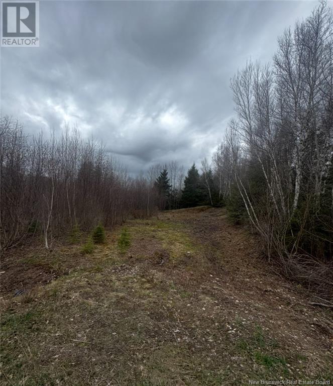 2019 Route 121, Norton, New Brunswick  E5T 1E7 - Photo 1 - NB117105