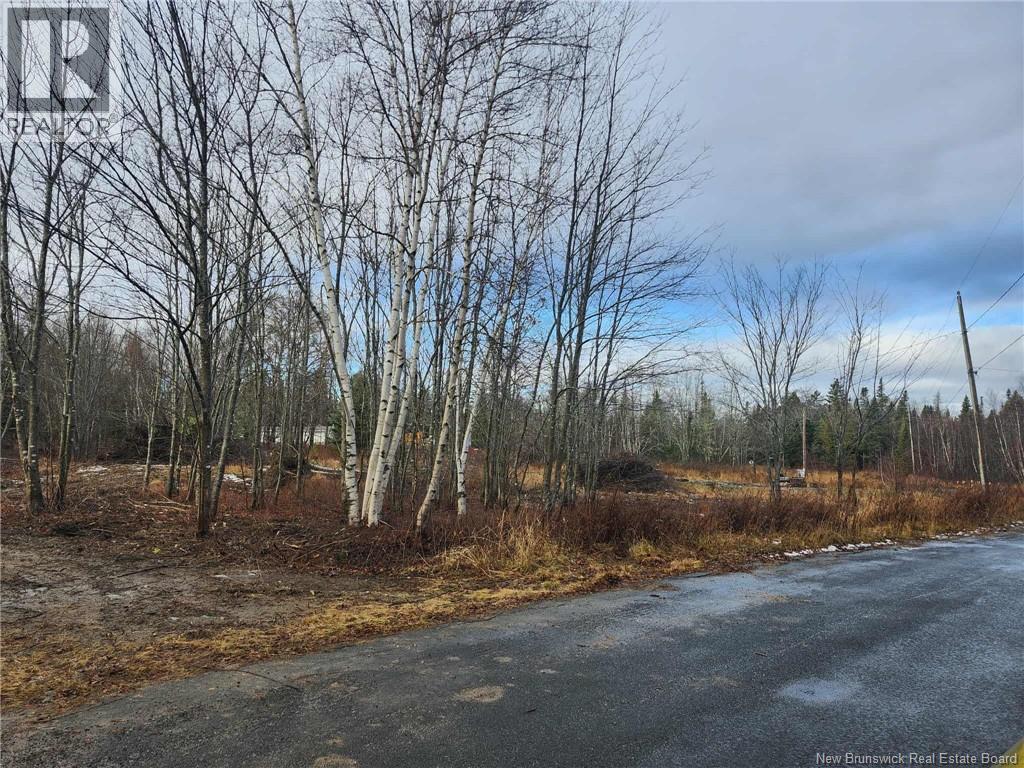 107 A + B Street, Mcgivney, New Brunswick E6C 1V3 - Photo 4 - NB117224