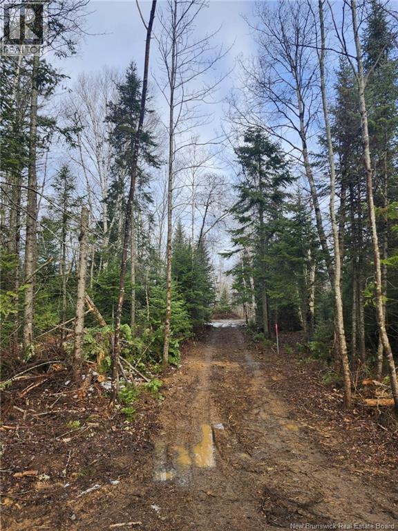 107 A + B Street, Mcgivney, New Brunswick E6C 1V3 - Photo 5 - NB117224