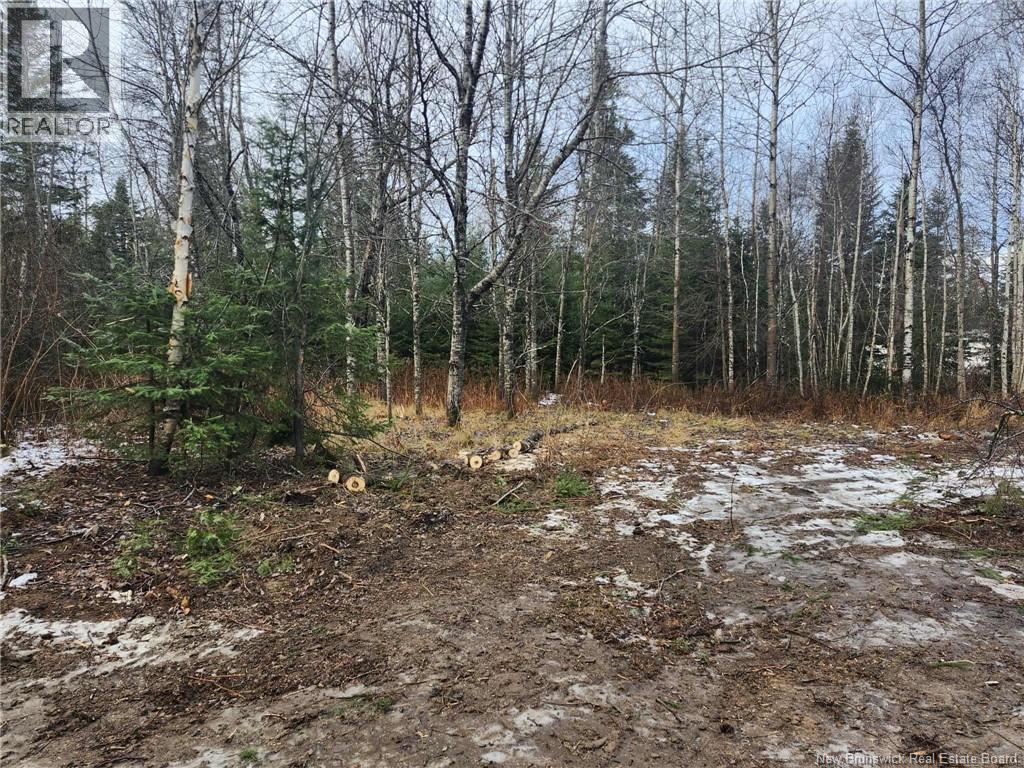 107 A + B Street, Mcgivney, New Brunswick E6C 1V3 - Photo 6 - NB117224