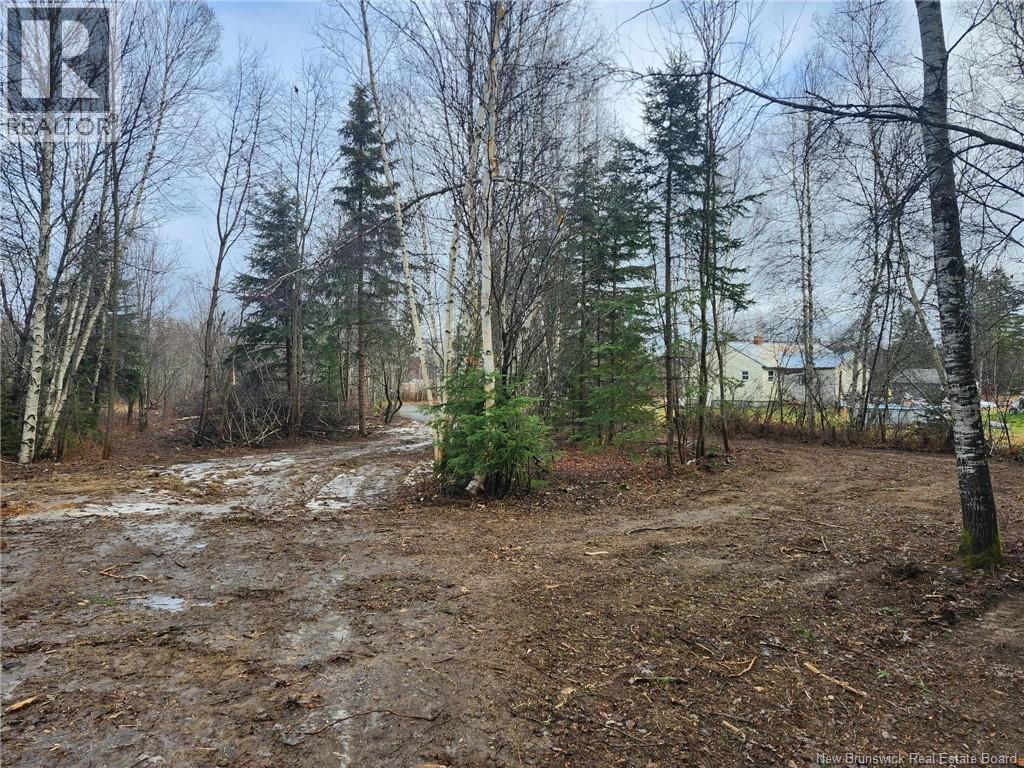 107 A + B Street, Mcgivney, New Brunswick E6C 1V3 - Photo 7 - NB117224