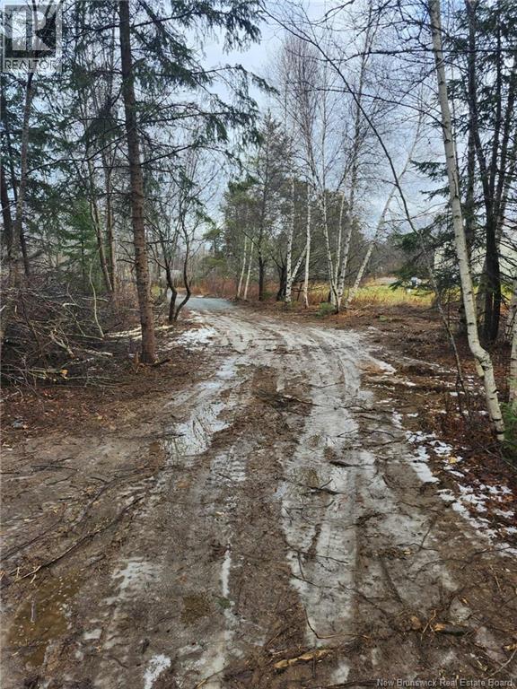 107 A + B Street, Mcgivney, New Brunswick E6C 1V3 - Photo 8 - NB117224