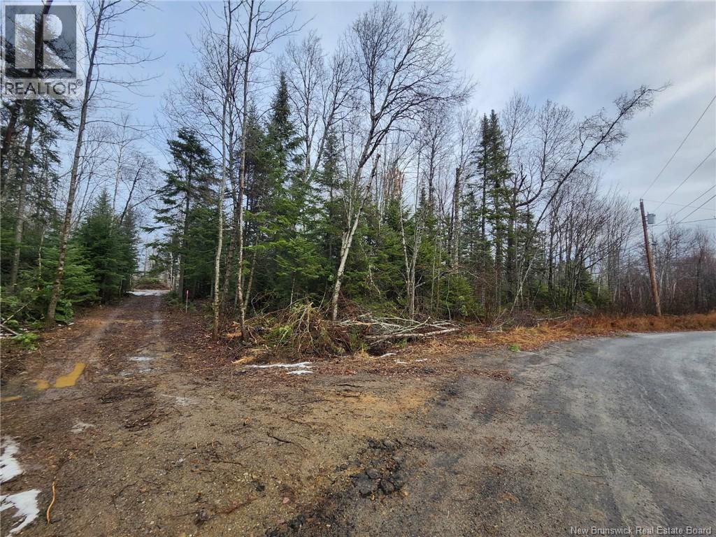 107 A + B Street, Mcgivney, New Brunswick E6C 1V3 - Photo 9 - NB117224