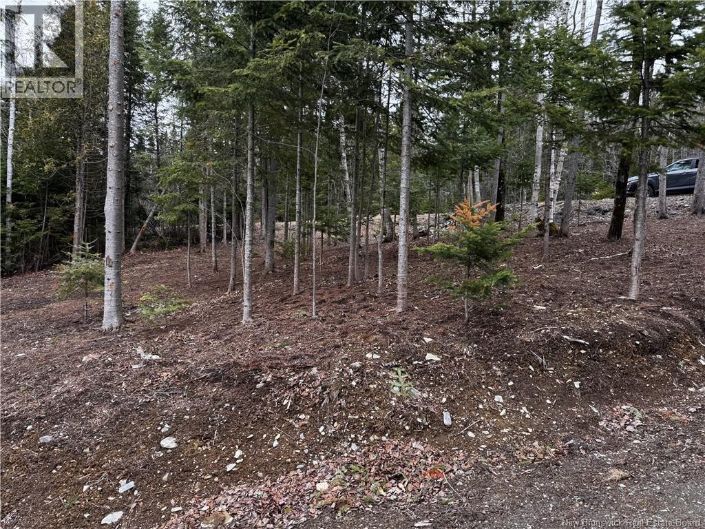 988 Route 215, Saint-François-De-Madawaska, New Brunswick  E7A 1G9 - Photo 3 - NB117287