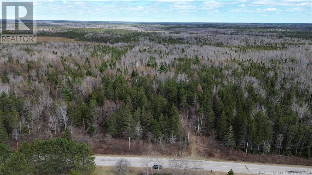 Lot Pleasant-Ridge, Rogersville, New Brunswick  E4Y 1B3 - Photo 2 - NB116122