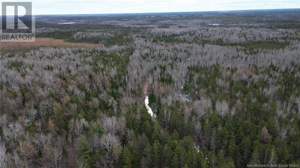 Lot Pleasant-Ridge, Rogersville, New Brunswick  E4Y 1B3 - Photo 3 - NB116122