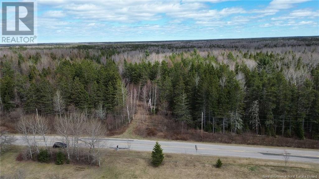 Lot Pleasant-Ridge, Rogersville, New Brunswick  E4Y 1B3 - Photo 4 - NB116122