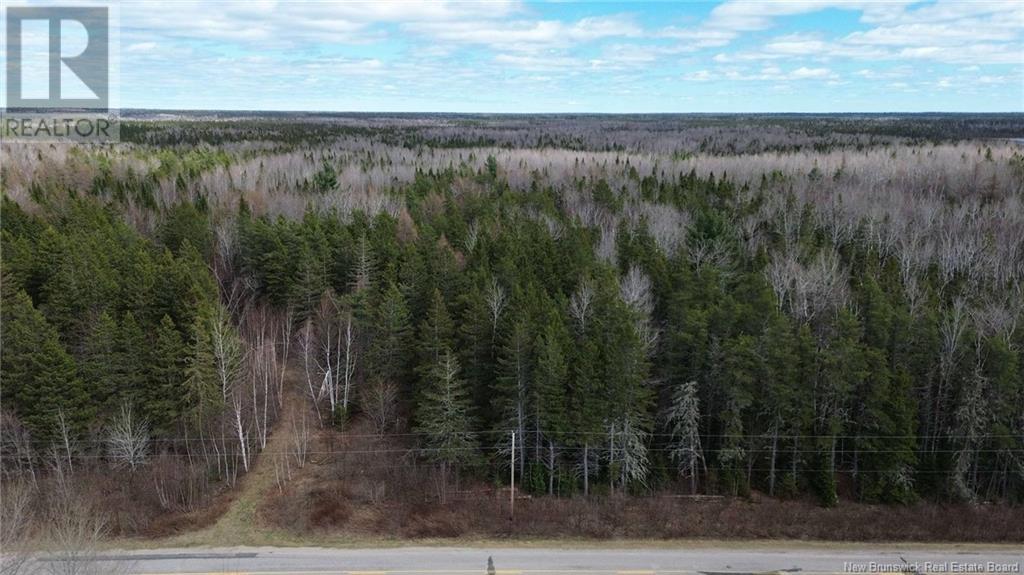 Lot Pleasant-Ridge, Rogersville, New Brunswick  E4Y 1B3 - Photo 5 - NB116122