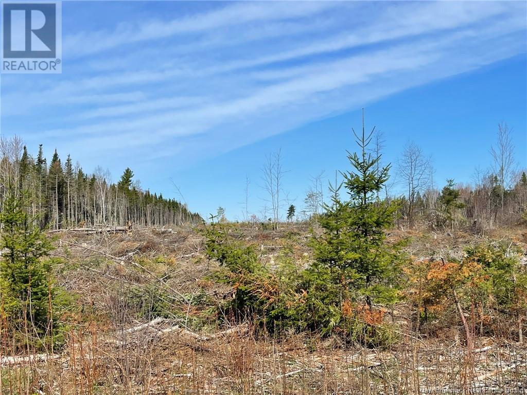 Semiwagan Road, Barnaby, New Brunswick