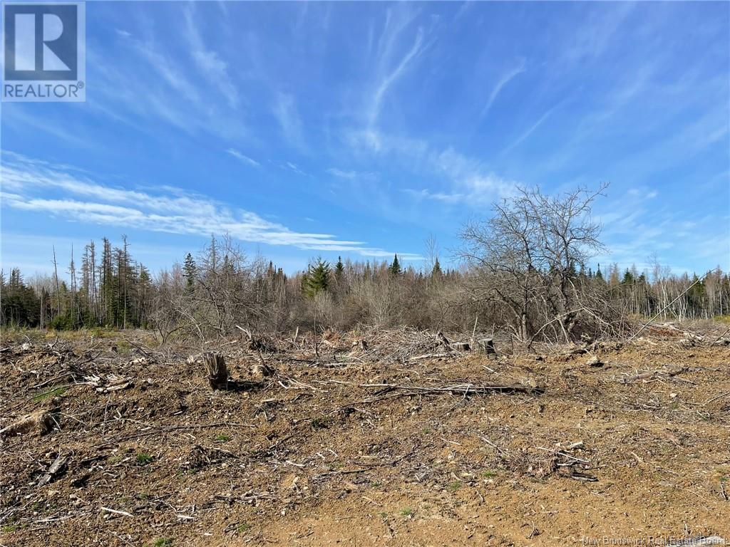 Semiwagan Road, Barnaby, New Brunswick  E1N 6E5 - Photo 11 - NB117586