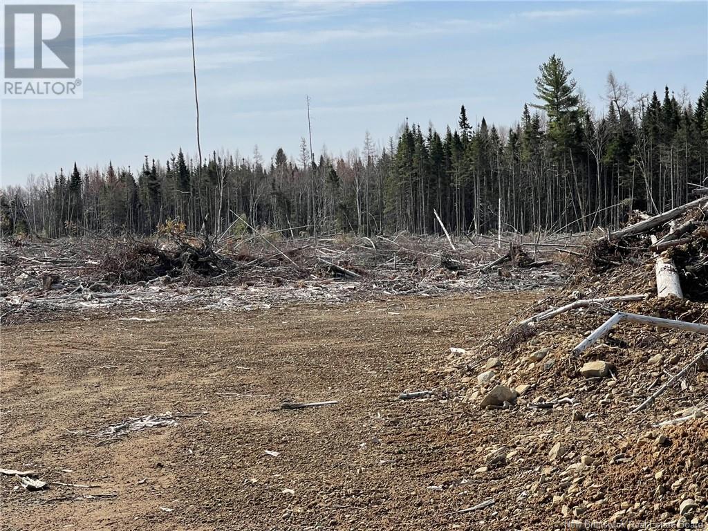 Semiwagan Road, Barnaby, New Brunswick  E1N 6E5 - Photo 13 - NB117586