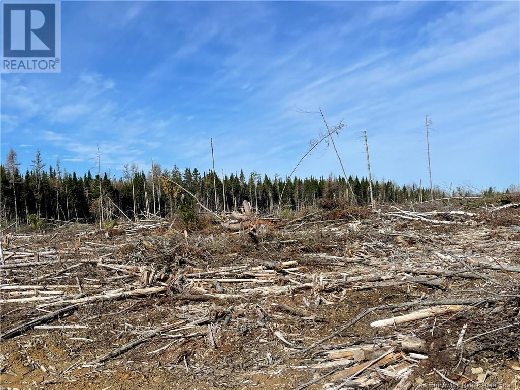Semiwagan Road, Barnaby, New Brunswick  E1N 6E5 - Photo 14 - NB117586