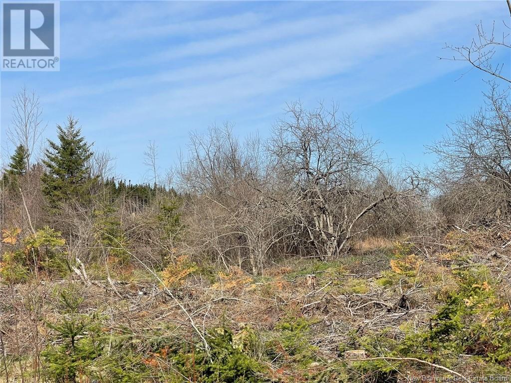 Semiwagan Road, Barnaby, New Brunswick  E1N 6E5 - Photo 15 - NB117586