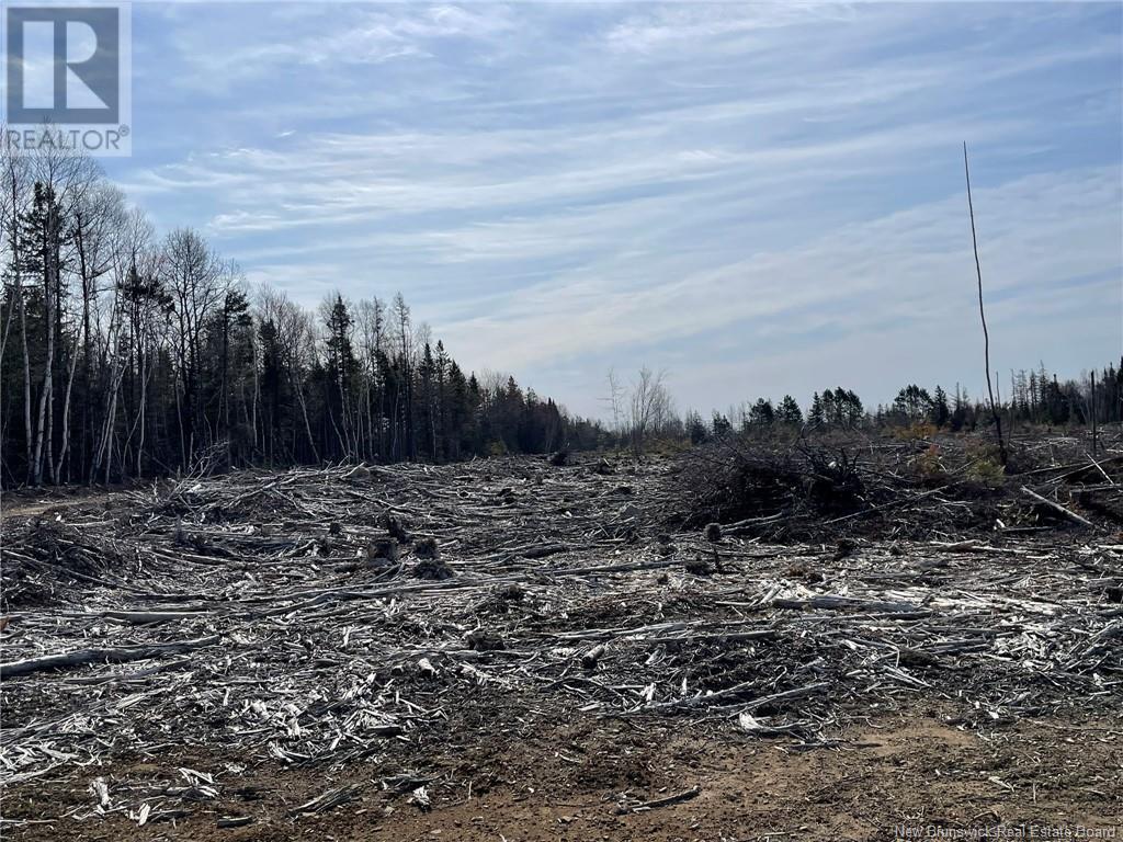 Semiwagan Road, Barnaby, New Brunswick  E1N 6E5 - Photo 16 - NB117586