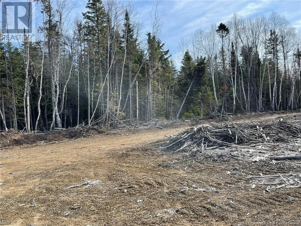 Semiwagan Road, Barnaby, New Brunswick  E1N 6E5 - Photo 18 - NB117586