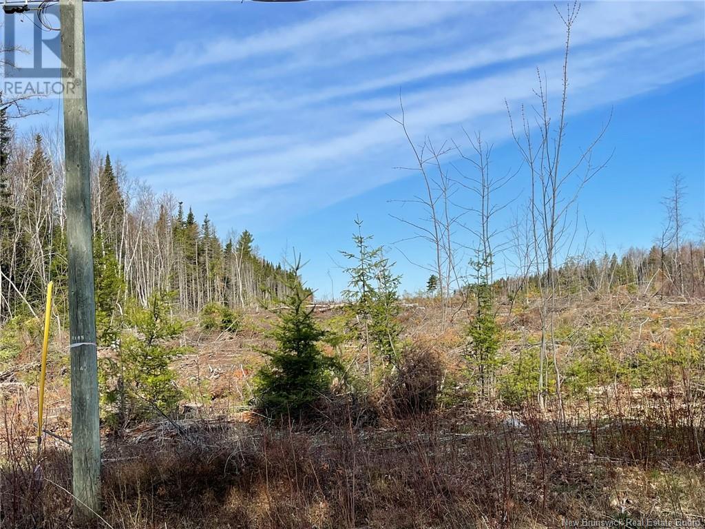 Semiwagan Road, Barnaby, New Brunswick  E1N 6E5 - Photo 2 - NB117586