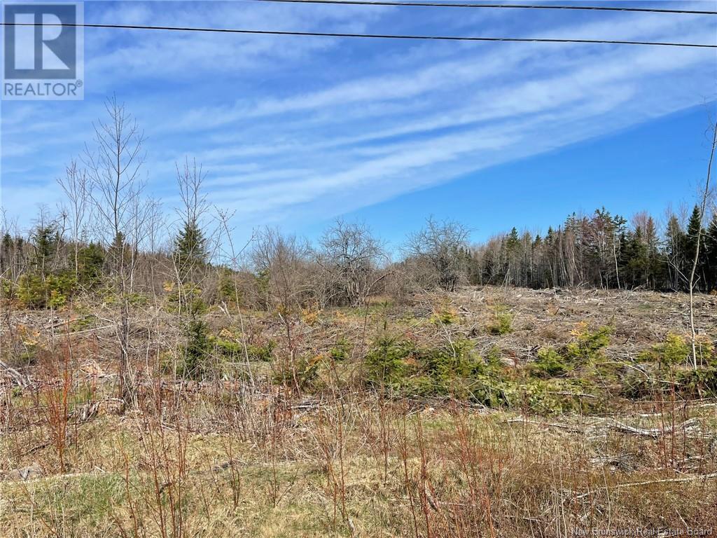 Semiwagan Road, Barnaby, New Brunswick  E1N 6E5 - Photo 20 - NB117586