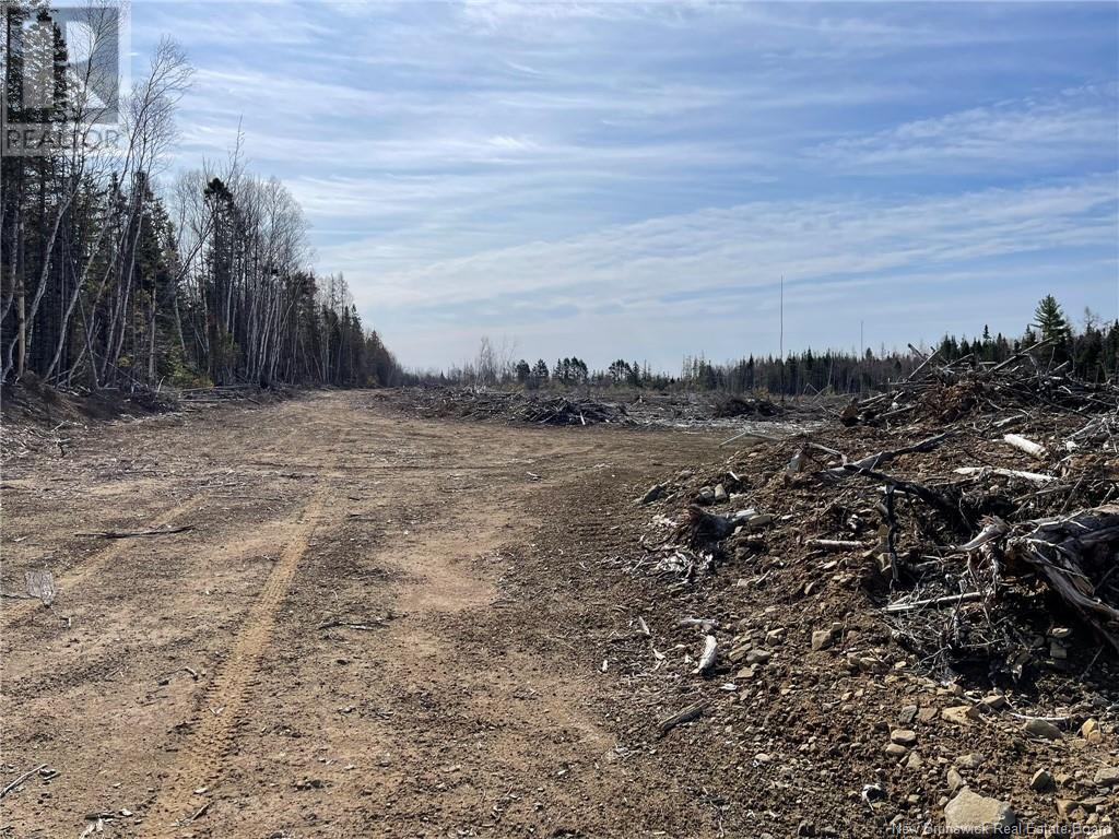 Semiwagan Road, Barnaby, New Brunswick  E1N 6E5 - Photo 22 - NB117586