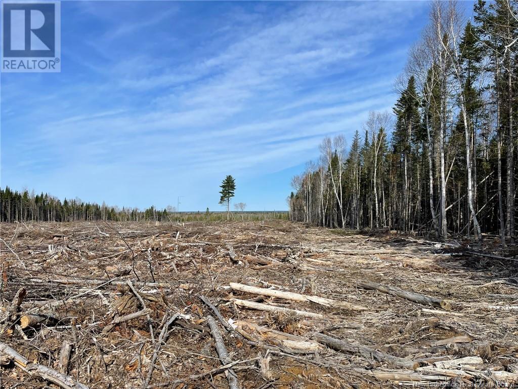 Semiwagan Road, Barnaby, New Brunswick  E1N 6E5 - Photo 6 - NB117586
