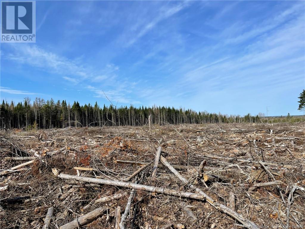 Semiwagan Road, Barnaby, New Brunswick  E1N 6E5 - Photo 9 - NB117586