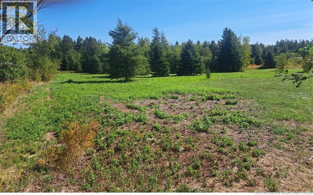 0 Homestead Road, Salisbury, New Brunswick E4J 3C1 - Photo 3 - NB117681