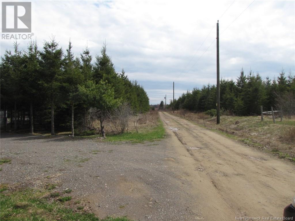 1356 Route 485, Saint-Paul, New Brunswick  E4T 3M4 - Photo 10 - NB117712