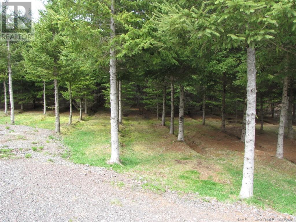 1356 Route 485, Saint-Paul, New Brunswick  E4T 3M4 - Photo 13 - NB117712