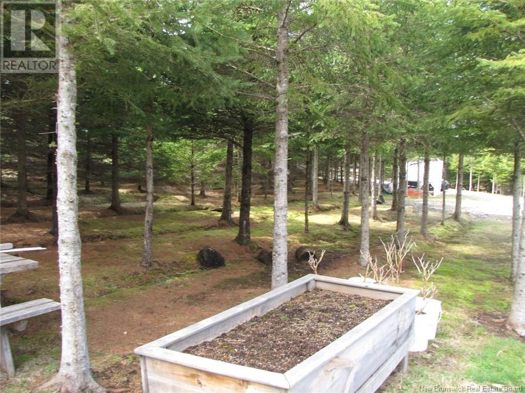 1356 Route 485, Saint-Paul, New Brunswick  E4T 3M4 - Photo 16 - NB117712