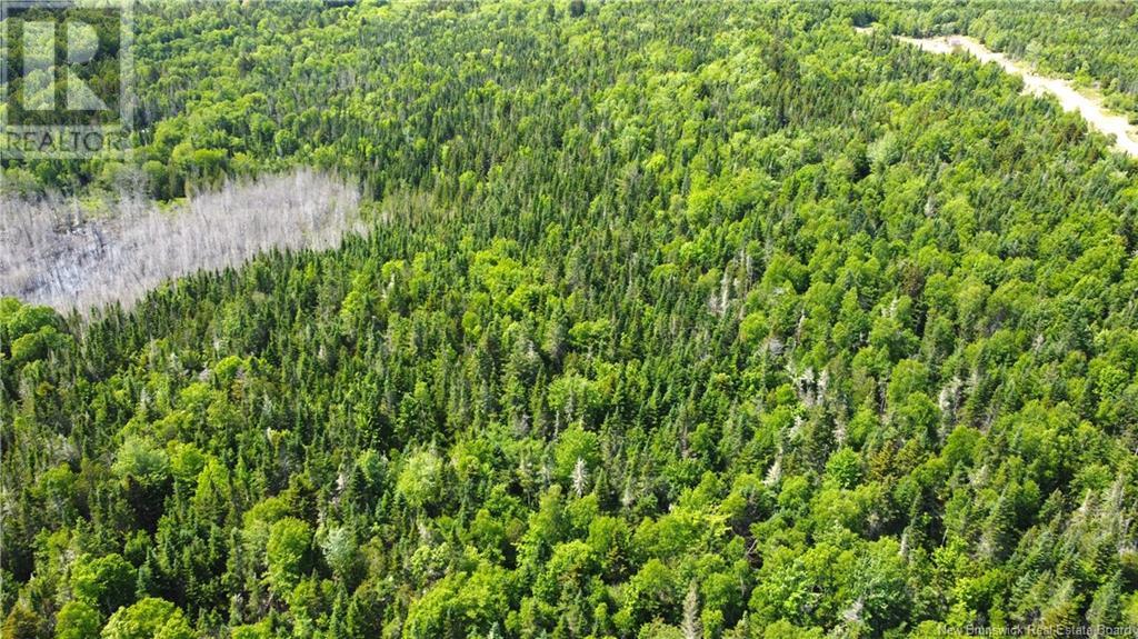 Lot 2024-3 Route 127, Chamcook, New Brunswick  E5B 3R6 - Photo 11 - NB117580