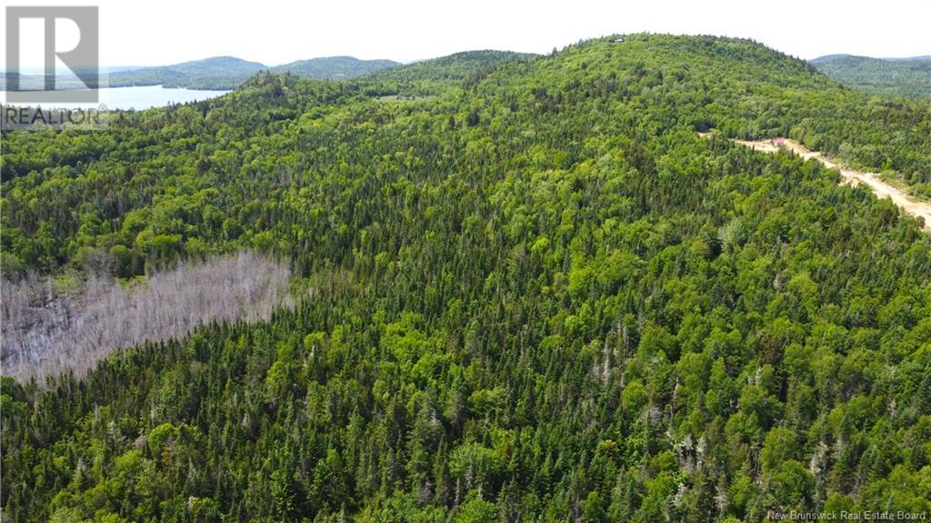 Lot 2024-3 Route 127, Chamcook, New Brunswick  E5B 3R6 - Photo 12 - NB117580
